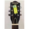 Image 3 : VINTAGE BARCLEY CUSTOM ACOUSTIC GUITAR