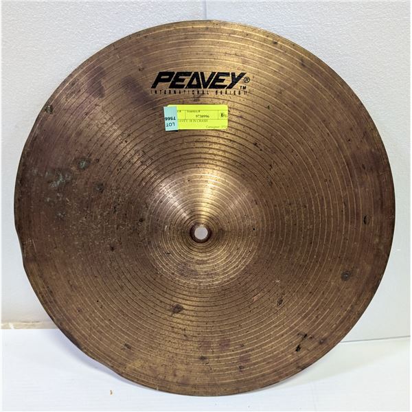 PEAVEY 18 IN CRASH
