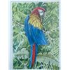 Image 2 : Framed Watercolour Parrot Artwork by Paul Lajoie 19.5x15.5 in