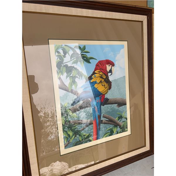 Dallas E. John 1980 "Scarlet Macaw" Limited Edition Print, Framed 45"x39"