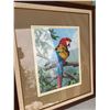 Image 1 : Dallas E. John 1980 "Scarlet Macaw" Limited Edition Print, Framed 45"x39"