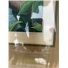 Image 3 : Dallas E. John 1980 "Scarlet Macaw" Limited Edition Print, Framed 45"x39"