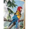 Image 6 : Dallas E. John 1980 "Scarlet Macaw" Limited Edition Print, Framed 45"x39"