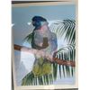 Image 2 : Dallas Welch 1980 St. Lucia Parrot Limited Edition Print 163/200 Framed