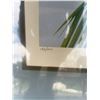 Image 4 : Dallas Welch 1980 St. Lucia Parrot Limited Edition Print 163/200 Framed