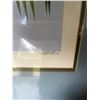 Image 6 : Dallas Welch 1980 St. Lucia Parrot Limited Edition Print 163/200 Framed