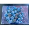 Image 1 : Paul Lalande Signed Floral Watercolour Painting, 20 x 14 Inches