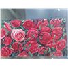Image 1 : Paul Lalande 1998 Rose Floral Painting, 18 x 10 Inches
