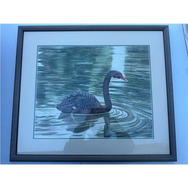 Paul Lalande Framed Painting of Black Swan, 20.5x16.5" Artwork