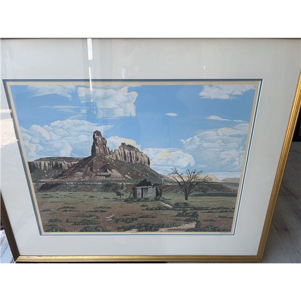 Limited Edition Print 'Weathering' by Dallas E. John, Framed