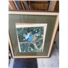 Image 1 : Framed Macaw Parrot Art Print By Dallas E. John, 36.5" x 43" Frame