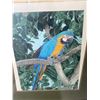 Image 2 : Framed Macaw Parrot Art Print By Dallas E. John, 36.5" x 43" Frame