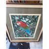 Image 1 : Green-Winged Macaw Framed Print by Dallas E. John, 1980, 33.5 x 39.5 in