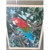 Image 2 : Green-Winged Macaw Framed Print by Dallas E. John, 1980, 33.5 x 39.5 in