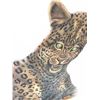 Image 4 : Paula Lalande 2002 Leopard Painting, 23"x36", Framed 29"x41.5"