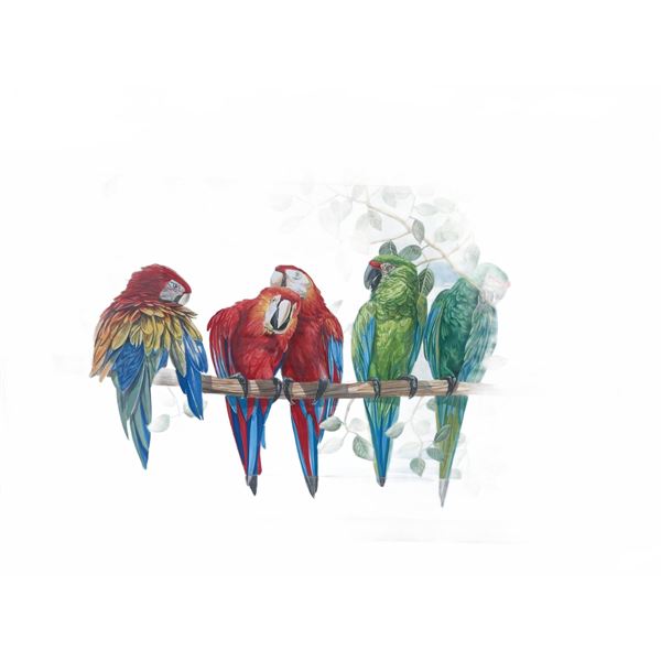 Framed Paul Lalande Parrot Painting, 33.5"x32" Artwork, 38"x26" Frame