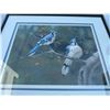 Image 2 : Maureen Baynton Blue Jays Print, Signed, 133/390, Framed, 24.5x21"