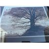 Image 2 : Framed Tree Landscape Art, Frame 32x26, Painting 23.5x17.5