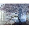 Image 4 : Framed Tree Landscape Art, Frame 32x26, Painting 23.5x17.5