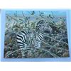 Image 1 : Zebra Landscape Painting Signed by Paul Lalande, 2003, 31x23 in