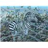 Image 2 : Zebra Landscape Painting Signed by Paul Lalande, 2003, 31x23 in