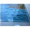 Image 3 : Paul Lalande Signed Raccoon Painting, 22x20, Framed 28x26.5