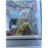 Image 4 : Paul Lalande Nature Scene Signed Framed Art