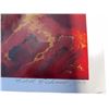 Image 3 : Edith Eichner “Fire Tree” 1980 Signed Print, 31x19.5”