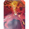 Image 5 : Edith Eichner “Fire Tree” 1980 Signed Print, 31x19.5”