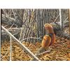 Image 2 : Signed 1986 Original Wildlife Painting, 23.5” x 19.5” Art, 32” x 28” Frame