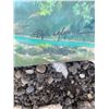 Image 4 : Landscape Painting by Paul Lalande, 24 x 20.5 Inches