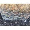 Image 3 : Original 16x20 Canvas Painting of Grasses and Rocky Ground