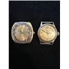 Image 1 : Lot of two watches: Wittnauer and Westbury