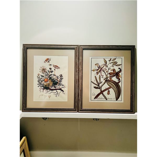 Pair of Professionally Framed Vintage-Style Botanical Prints – Larson-Juhl Frames