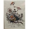 Image 3 : Pair of Professionally Framed Vintage-Style Botanical Prints – Larson-Juhl Frames