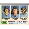 Image 1 : 1982 TOPPS ATLEE HAMMAKER ROOKIE CARD