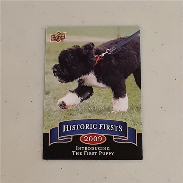 2009 Upper Deck Series Two Historic Firsts Short Print card HF-11 Introducing The First Puppy Bo