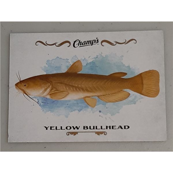 2015-16 Champ's Fish card F-30 Yellow Bullhead