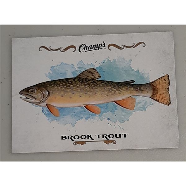 2015-16 Champ's Fish card F-12 Brook Trout