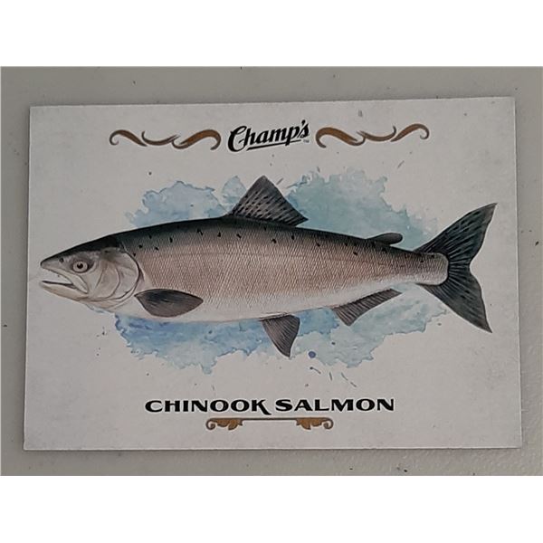 2015-16 Champ's Fish card F-7 Chinook Salmon