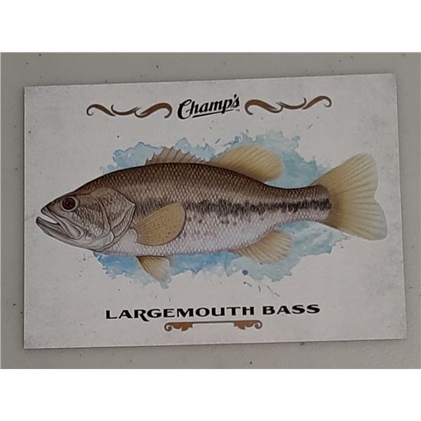 2015-16 Champ's Fish card F-23 Largemouth Bass