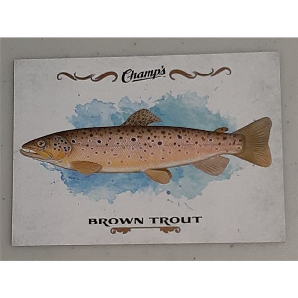 2015-16 Champ's Fish card F-5 Brown Trout