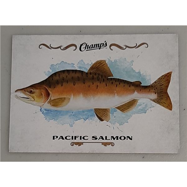 2015-16 Champ's Fish card F-18 Pacific Salmon
