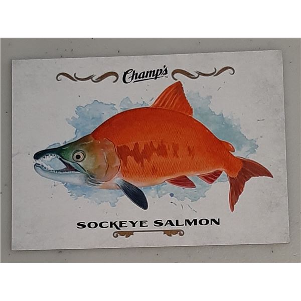 2015-16 Champ's Fish card F-25 Sockeye Salmon