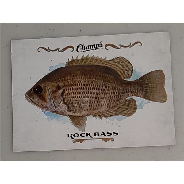 2015-16 Champ's Fish card F-21 Rock Bass