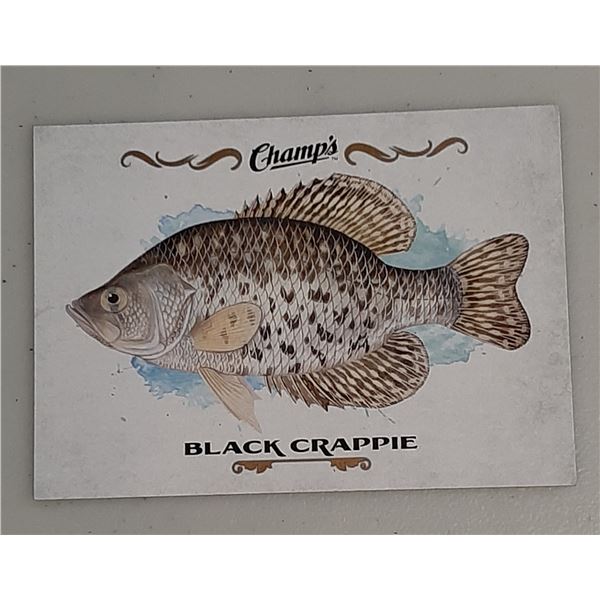 2015-16 Champ's Fish card F-2 Black Crappie