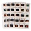 Image 1 : A Collection of "Flesh Gordon" Slides.