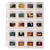 Image 2 : A Collection of "Flesh Gordon" Slides.