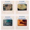 Image 8 : A Collection of "Flesh Gordon" Slides.