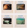Image 9 : A Collection of "Flesh Gordon" Slides.